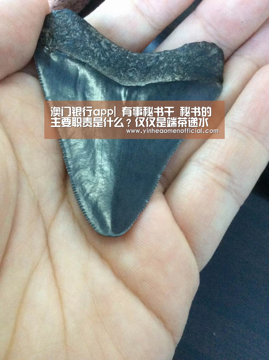 澳门银行app
