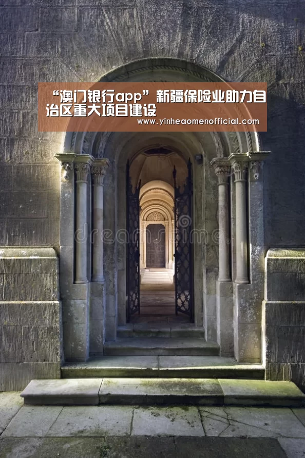 “澳门银行app”新疆保险业助力自治区重大项目建设(图1) 澳门银行app